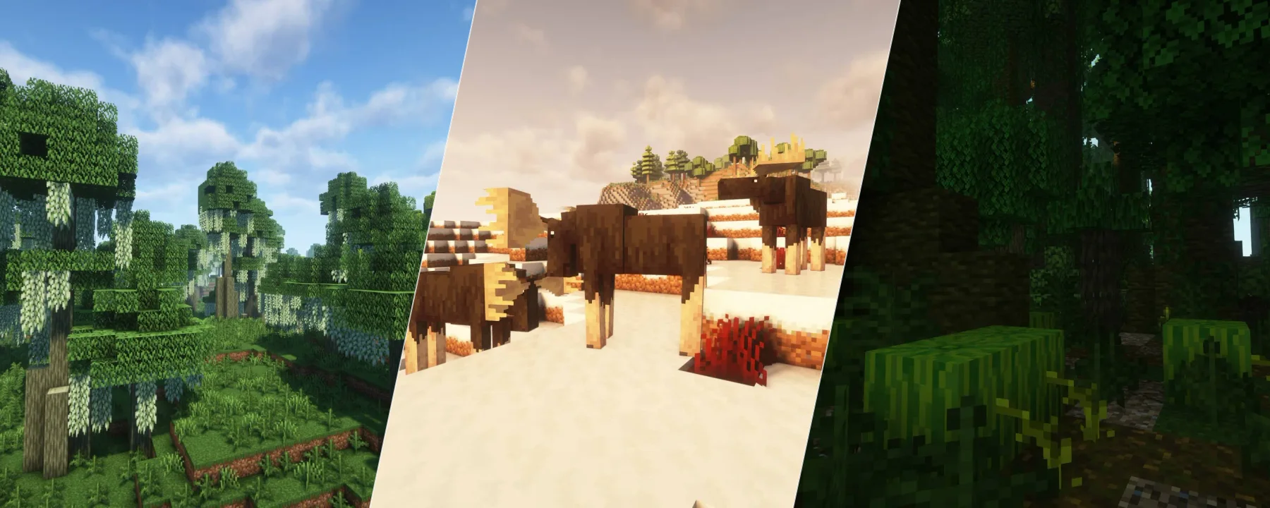 More Biomes [FORGE] - 1.21 UPDATE! — More Biomes [FORGE] - 1.21 UPDATE! screenshots 1–3
