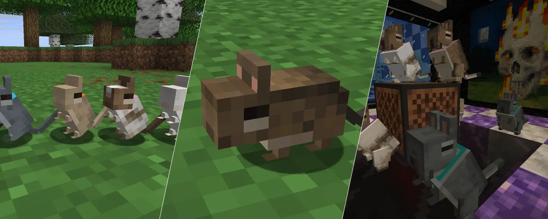 Vanilla Degus — Vanilla Degus screenshots 1–3