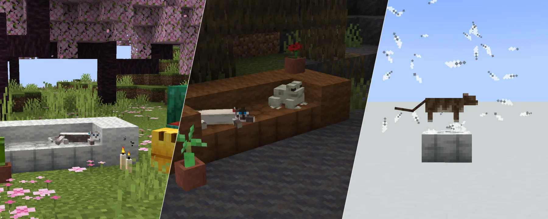 The Comfort Zone — The Comfort Zone screenshots 1–3