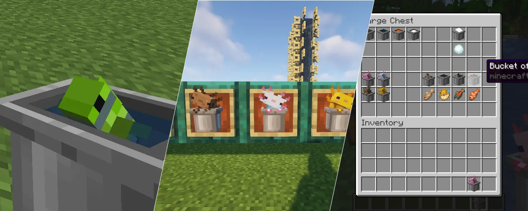 Alittl Axolotl & Friends- Animated 3D bucket friends! [Java Version] — Alittl Axolotl & Friends- Animated 3D bucket friends! [Java Version] screenshots 1–3