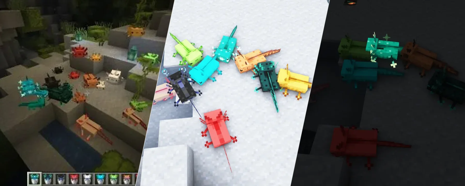 More Axolotl Variants Mod — More Axolotl Variants Mod screenshots 1–3