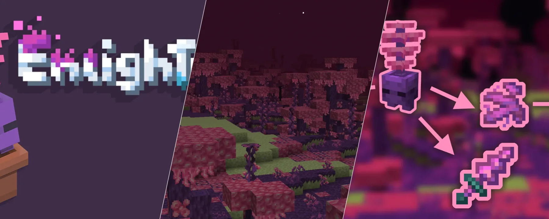Enlightend — Enlightend screenshots 4–6