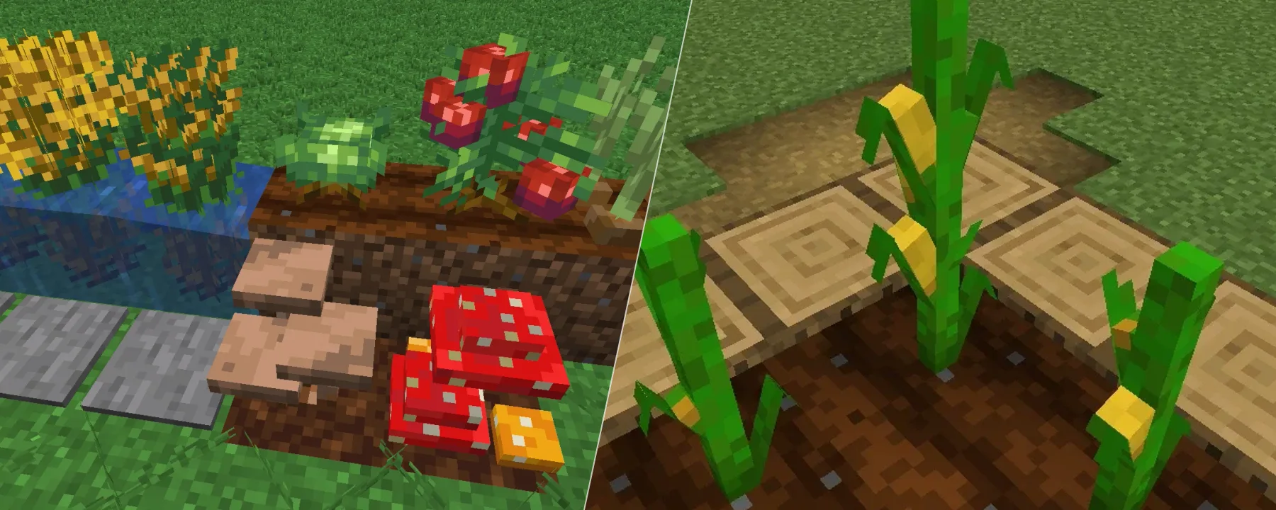 Farmer's Delight crops 3D — Farmer's Delight crops 3D screenshots 1–2