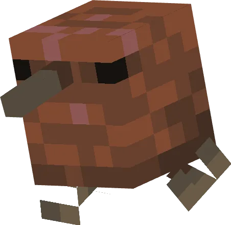 Kiwi Boi — el wiwi