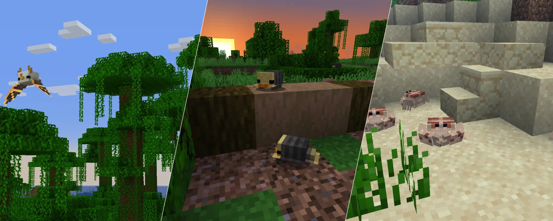 Ambient Additions — Ambient Additions screenshots 1–3