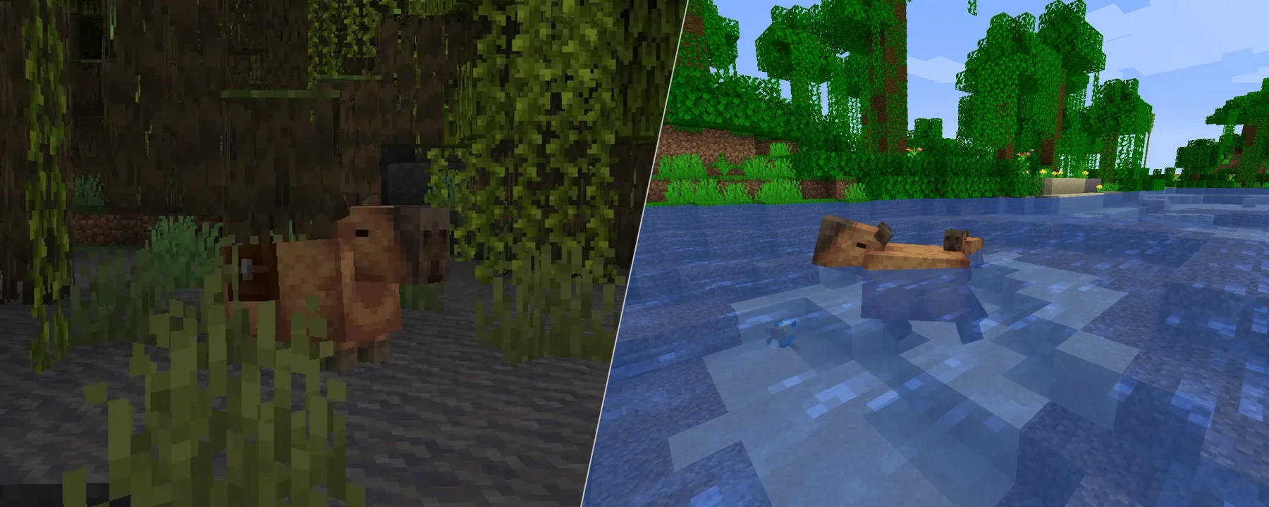 Capybara [UAM] — Capybara [UAM] screenshots 1–2