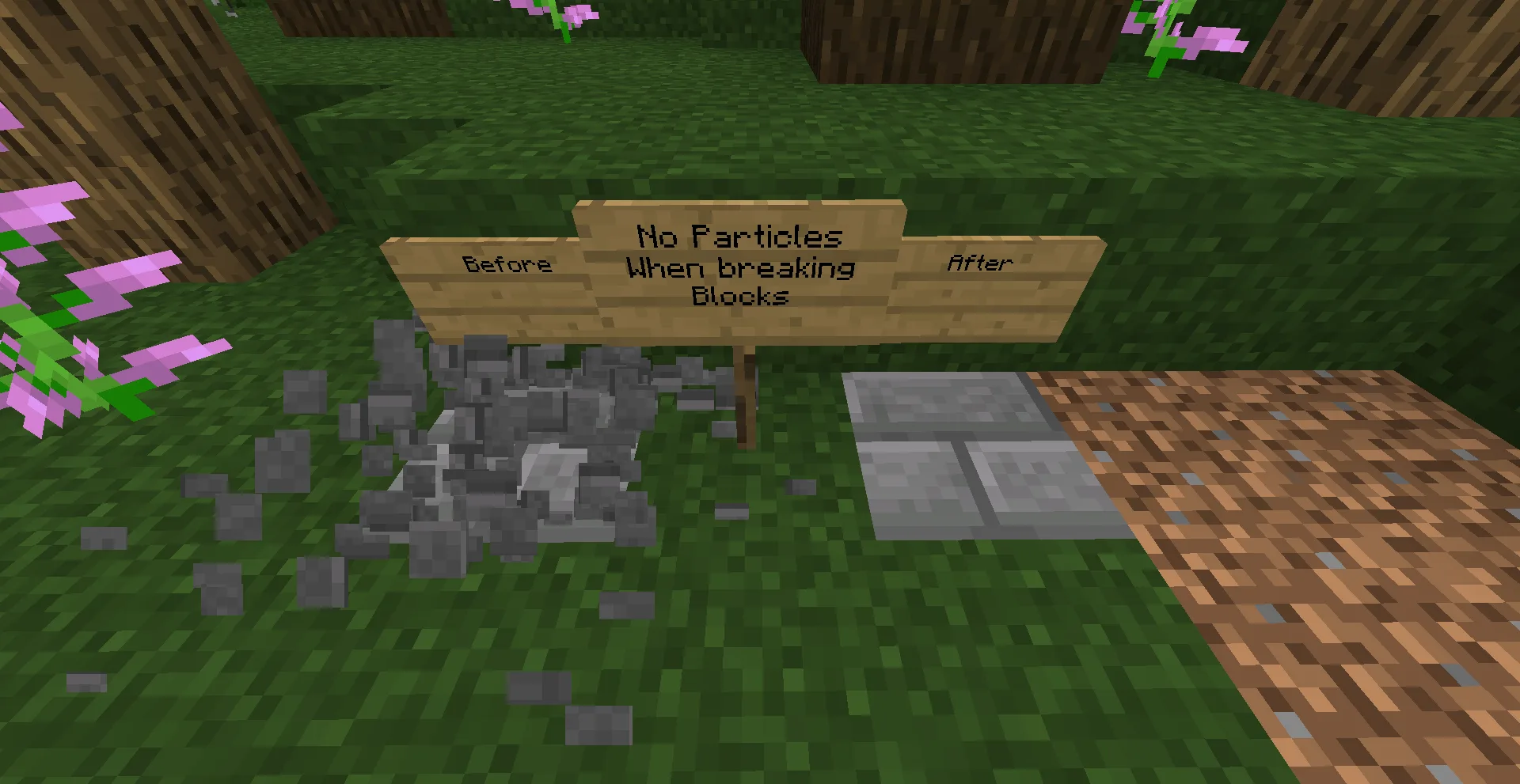 No Block Particles — Function of this pack