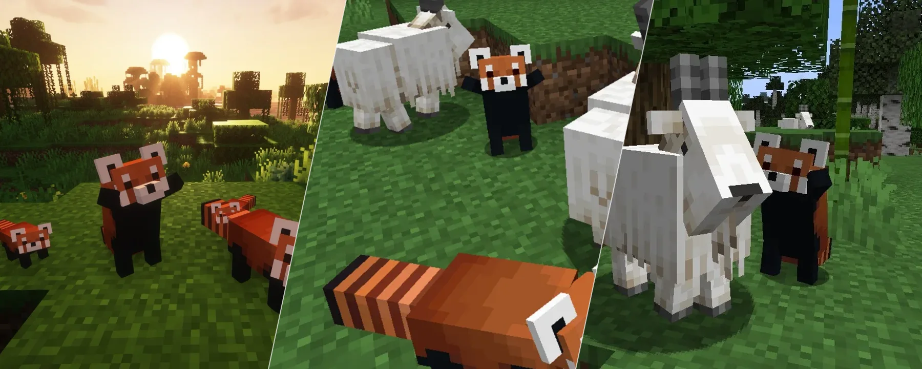 YDM's Red Panda — YDM's Red Panda screenshots 1–3