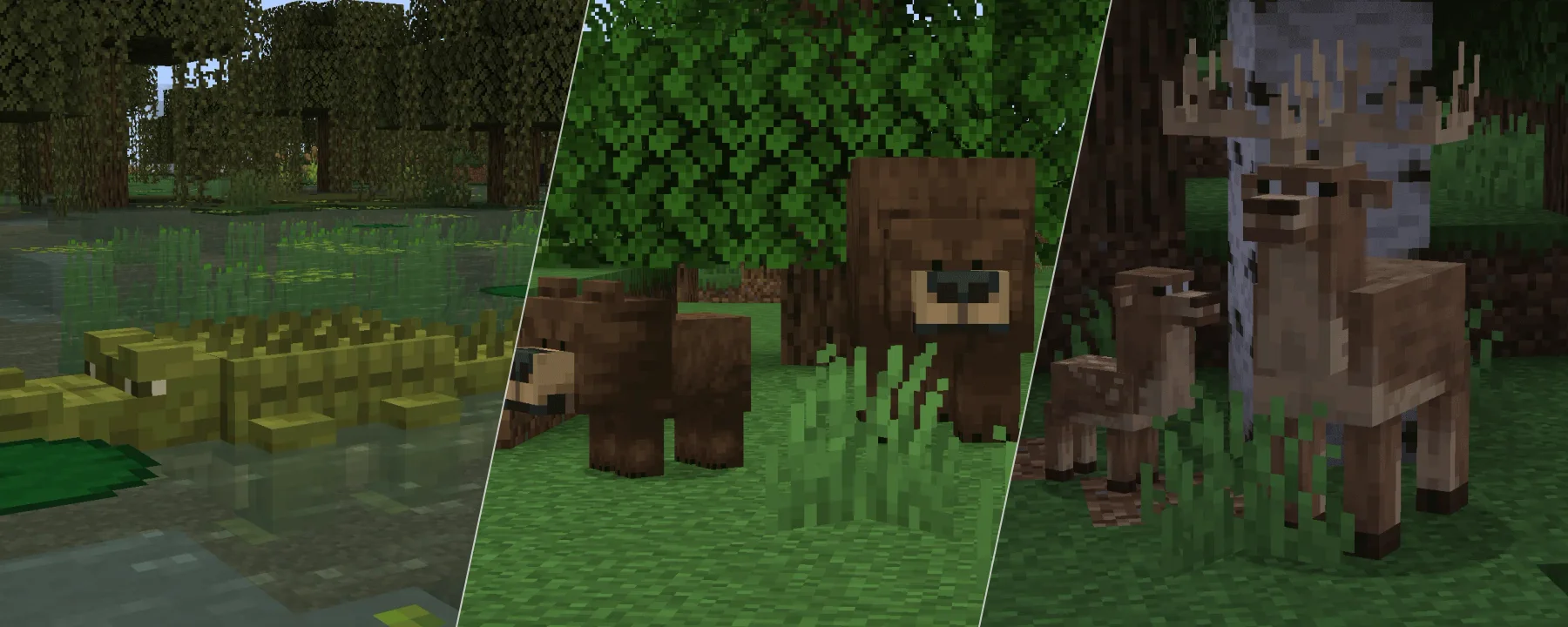 Naturalist — Naturalist screenshots 1–3