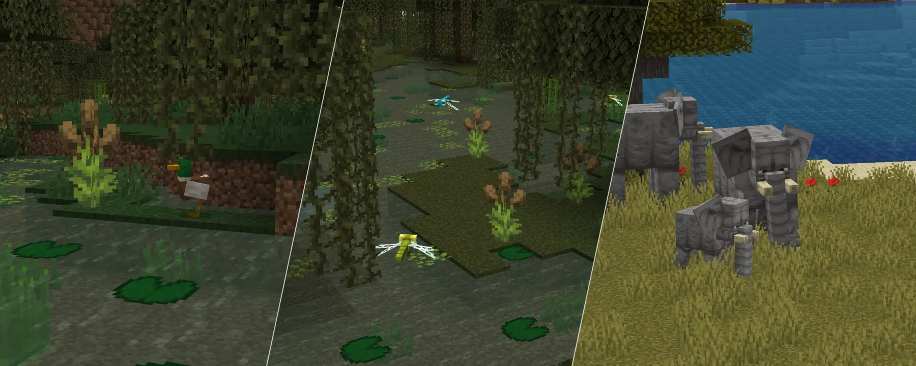 Naturalist — Naturalist screenshots 4–6