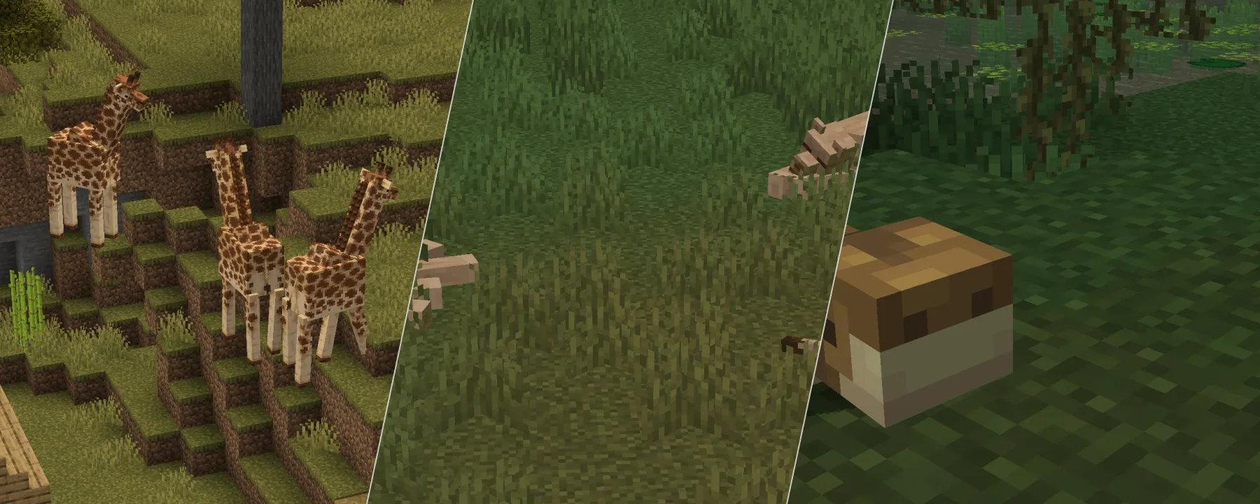 Naturalist — Naturalist screenshots 7–9