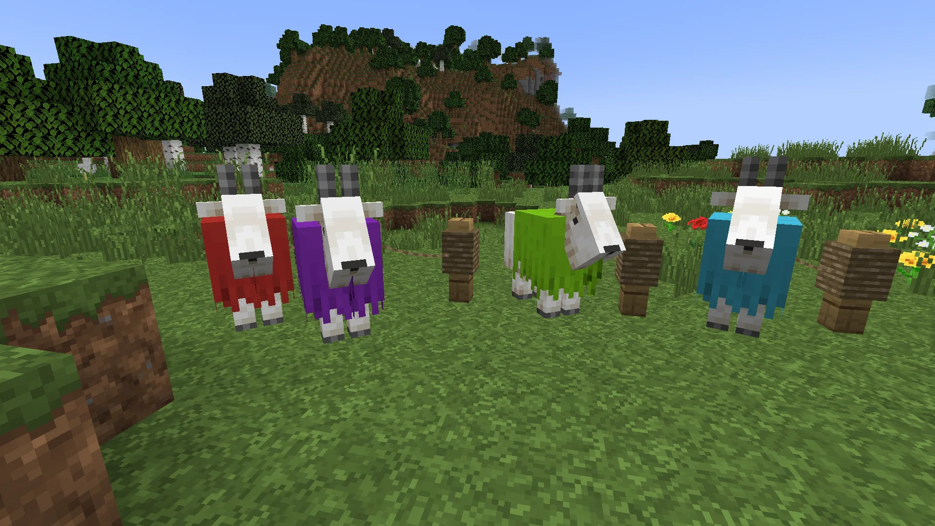 Colourful Goats — Some Coloured Goats