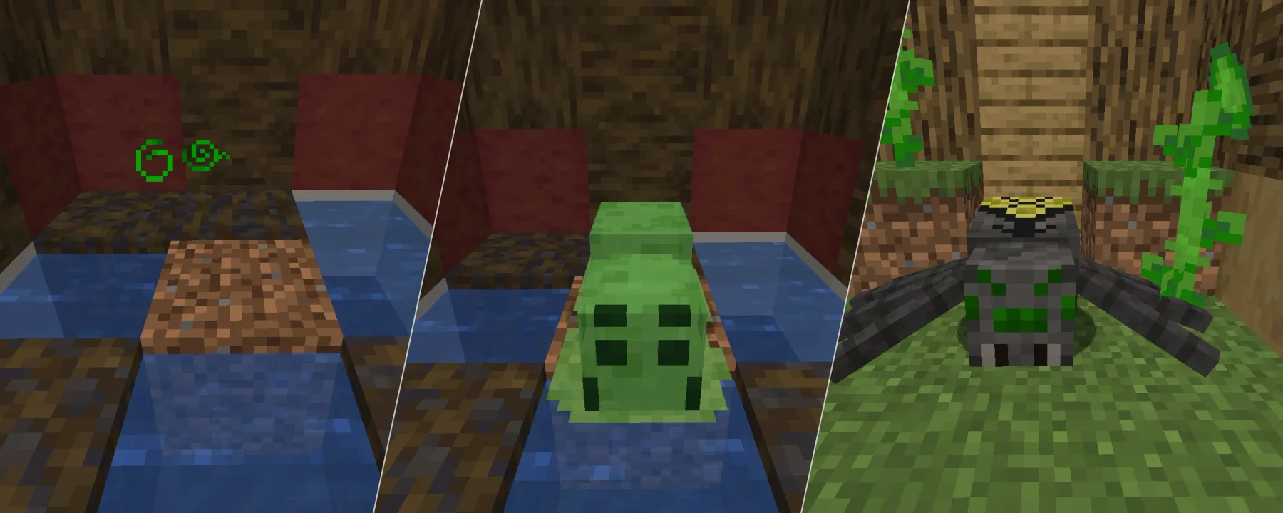 Canes Wonderful Spiders — Canes Wonderful Spiders screenshots 1–3