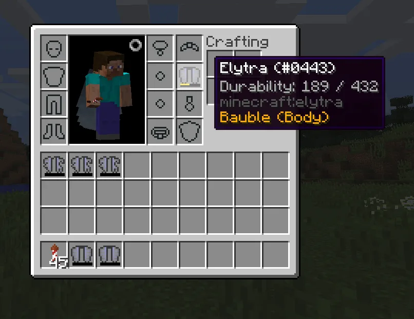Baubley Elytra — inventory