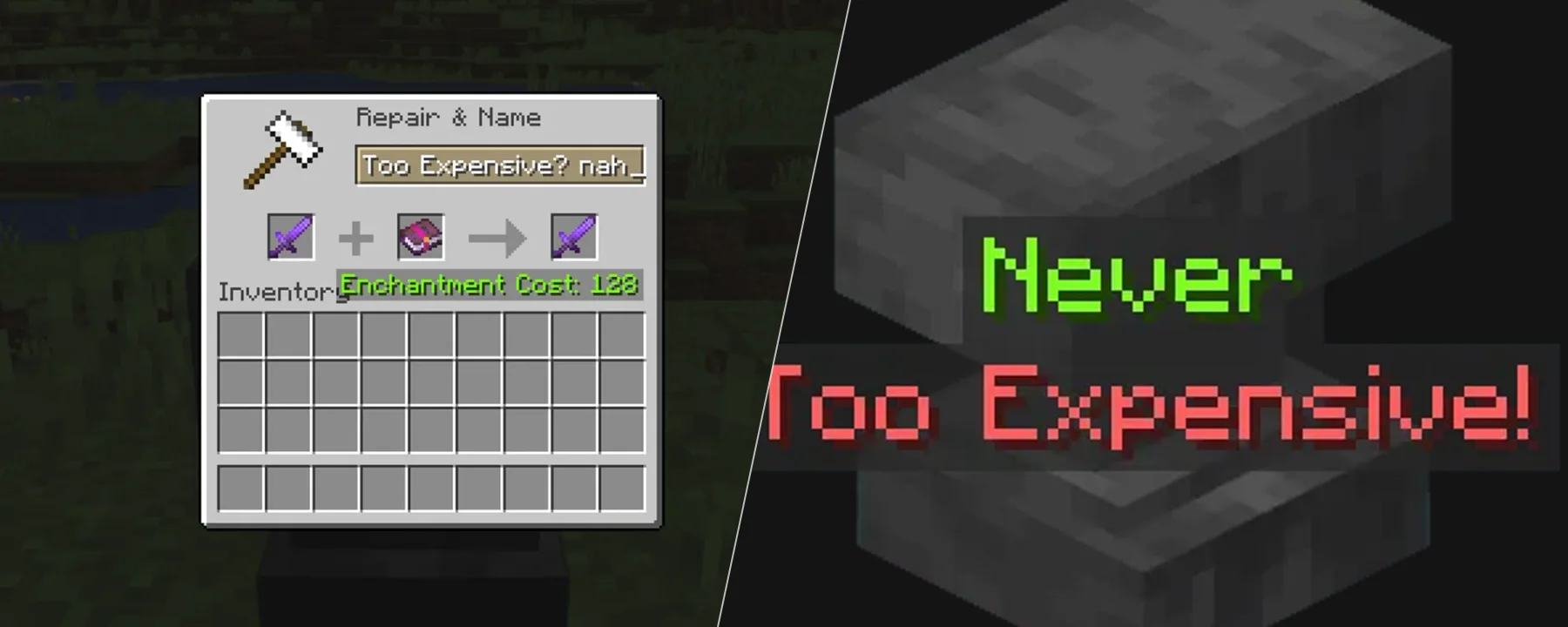 Anvil Never Too Expensive — Anvil Never Too Expensive screenshots 1–2