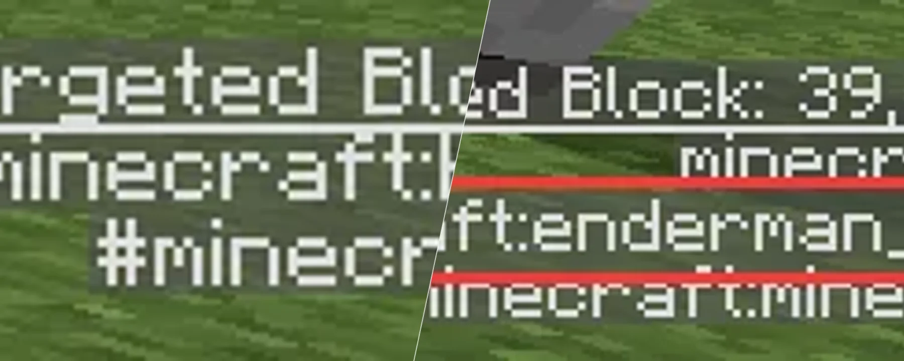 Disable enderman picking up blocks — Disable enderman picking up blocks screenshots 1–2