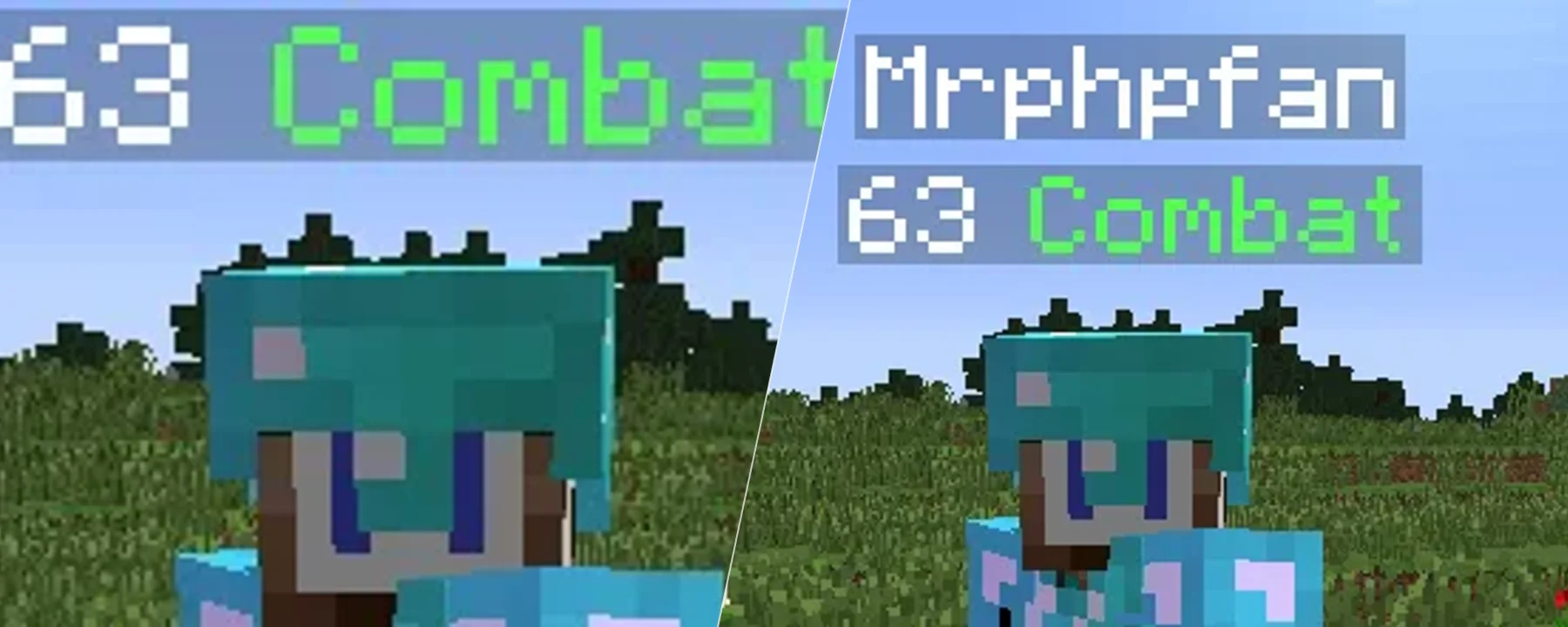 mcMMO Combat Level — mcMMO Combat Level screenshots 1–2