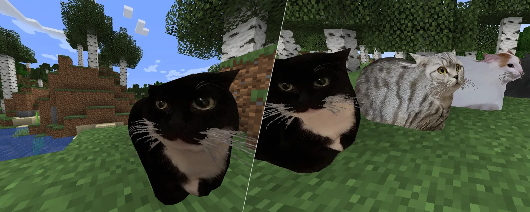 Maxwell the placeable cat — Maxwell the placeable cat screenshots 1–2