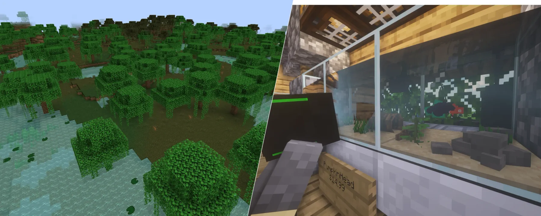 DragN’s Bettas & Aquatics! — DragN’s Bettas & Aquatics! screenshots 1–2