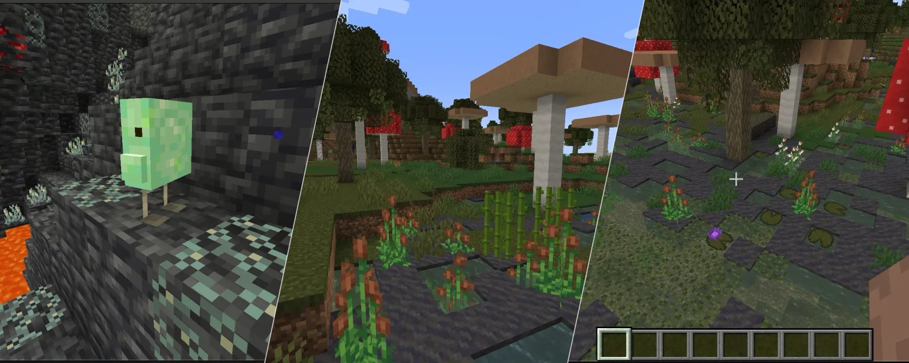 Dolt Compat — Dolt Compat screenshots 1–3