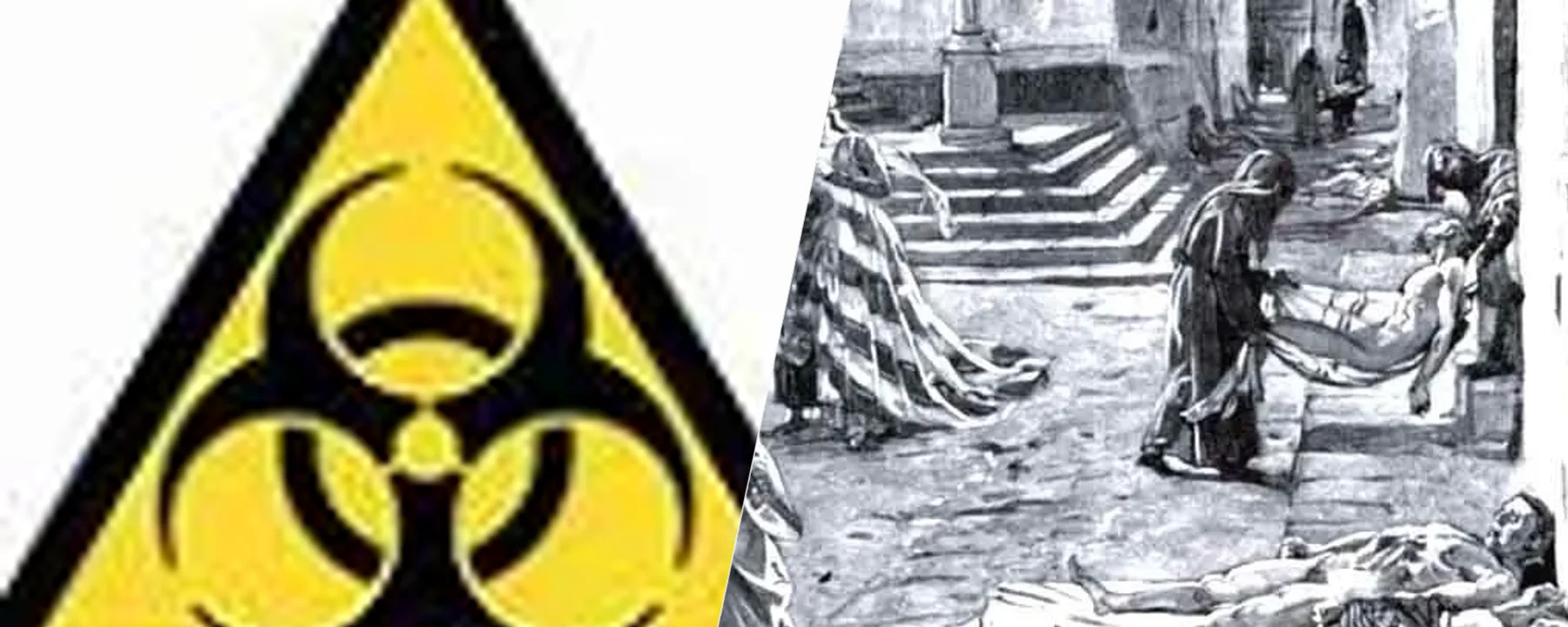Disease — Disease screenshots 1–2
