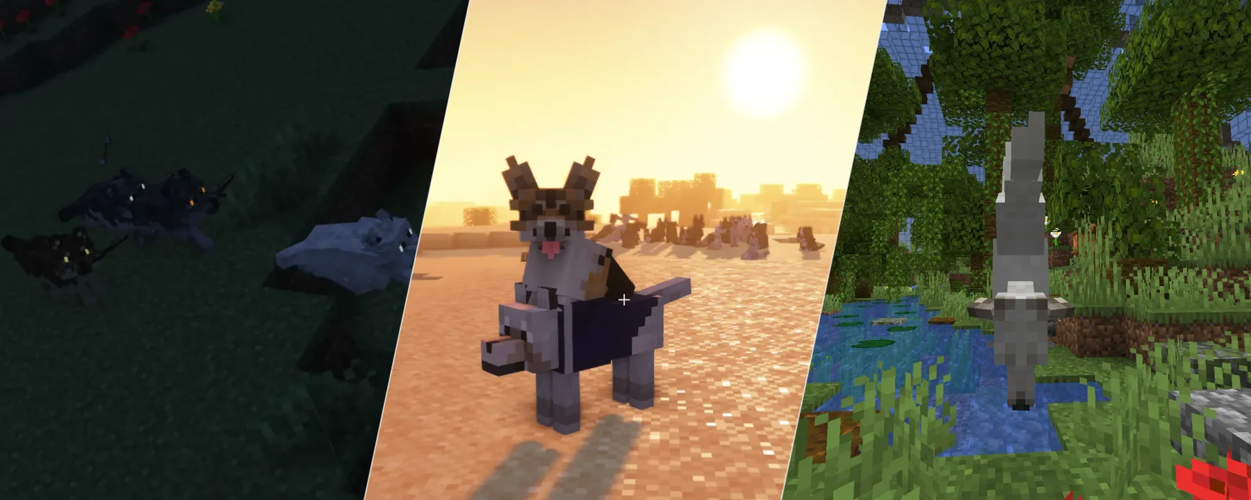 Better Dogs X Doggy Talents Next — Better Dogs X Doggy Talents Next screenshots 1–3