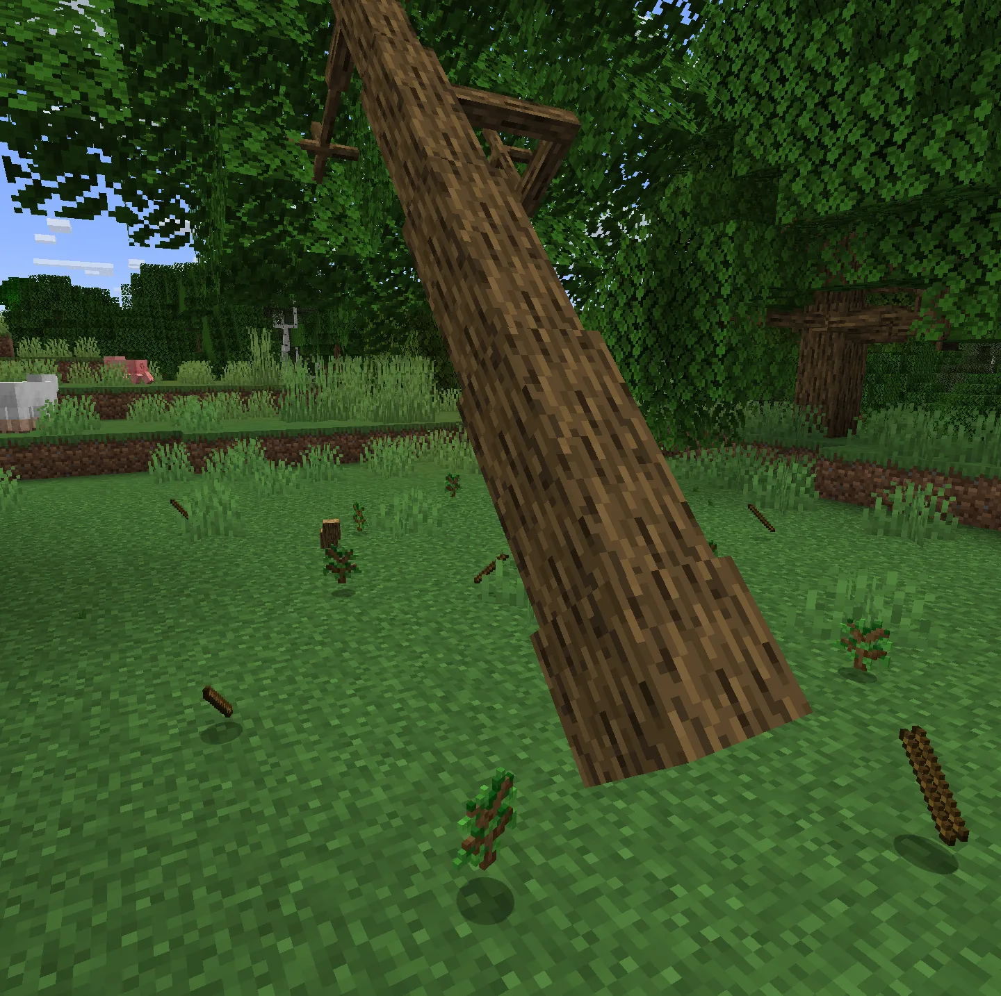 Dynamic Trees: Sapling replacement — Showcase?
