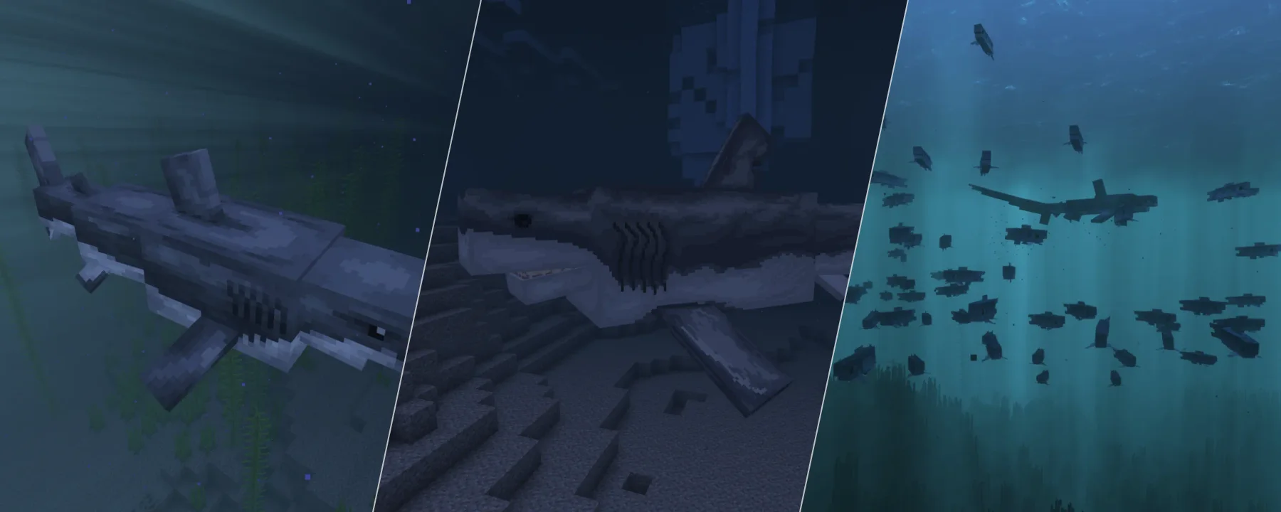 Ben's Sharks — Ben's Sharks screenshots 1–3