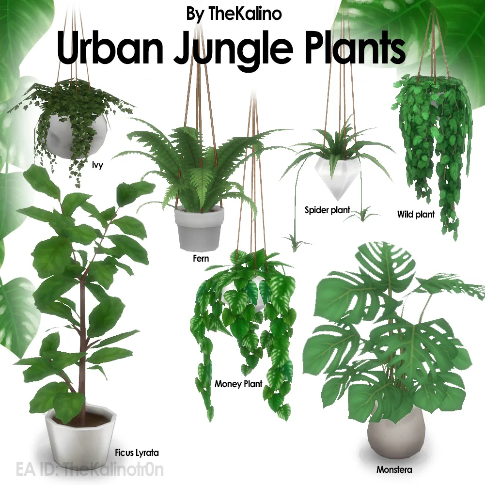 Urban Jungle Plants — Itmes