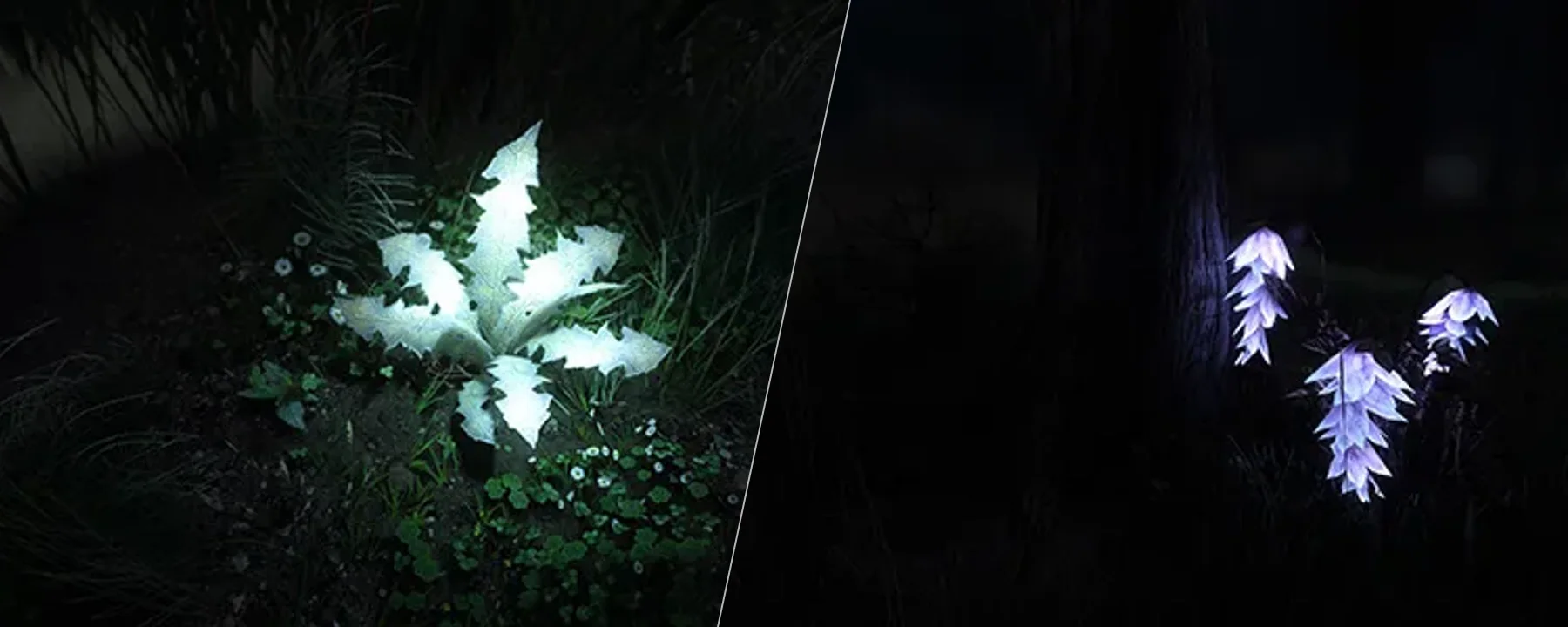 Rudy HQ - More Lights for ENB SE - Deathbells and Nirnroots — Rudy HQ - More Lights for ENB SE - Deathbells and Nirnroots screenshots 1–2